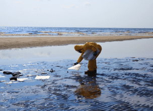 Oil Spill Cleanup Workers On Beach Picking Up Oil Debris