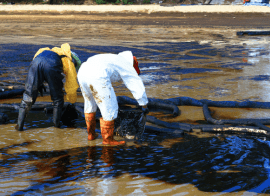 A Group Of People In White And Orange Overalls In A Shallow Water