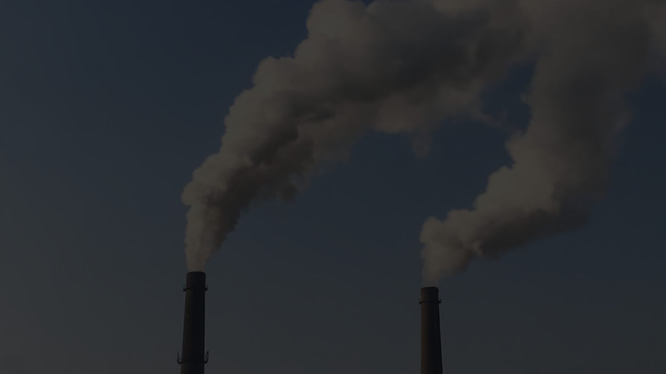 Coconut Grove'S 'Old Smokey' Class Action Lawsuit
