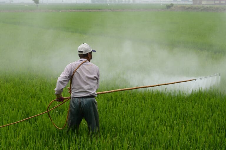 Paraquat sprayer being exposes to harmful chemicals