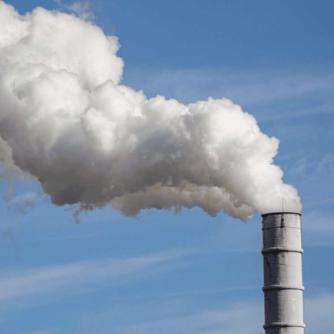 Smoke Stack In Coconut Grove Florida Called Old Smokey In Lawsuit