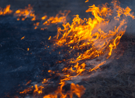 Dirt Pictured On Fire In A Ring Once Used In Military Training Causing Burns And Scarring On Veterans