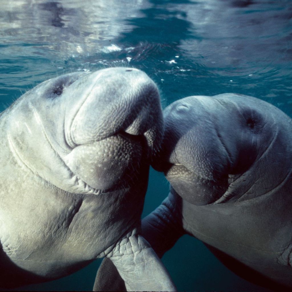 The Downs Law Group Sponsors Miami Beach Clean-Up